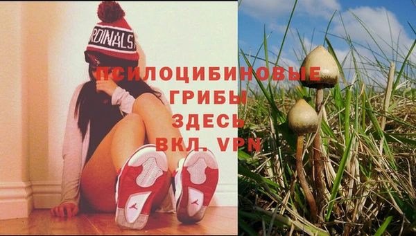 бутират Алексеевка