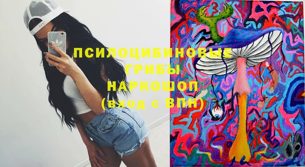 Альфа ПВП Нея